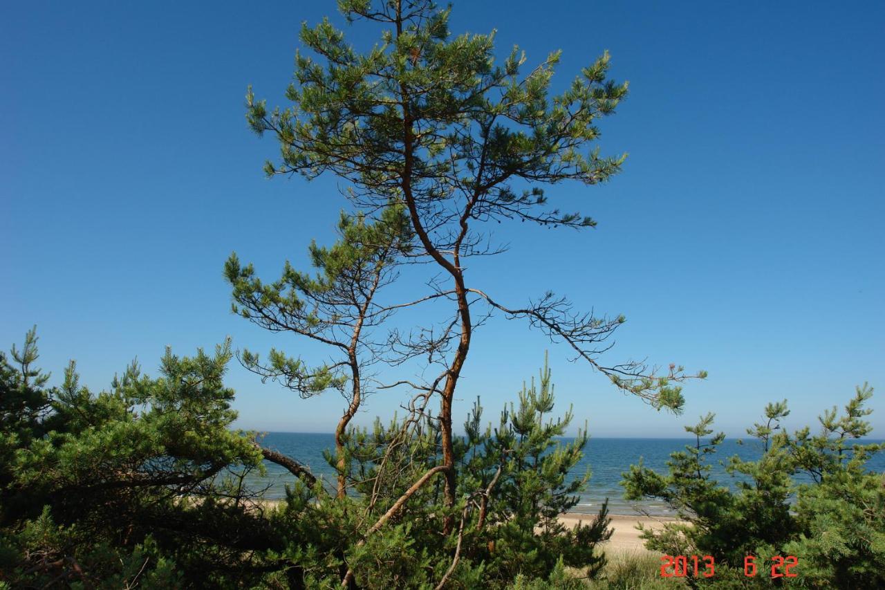 Pajurio Vingis Palanga Exterior foto